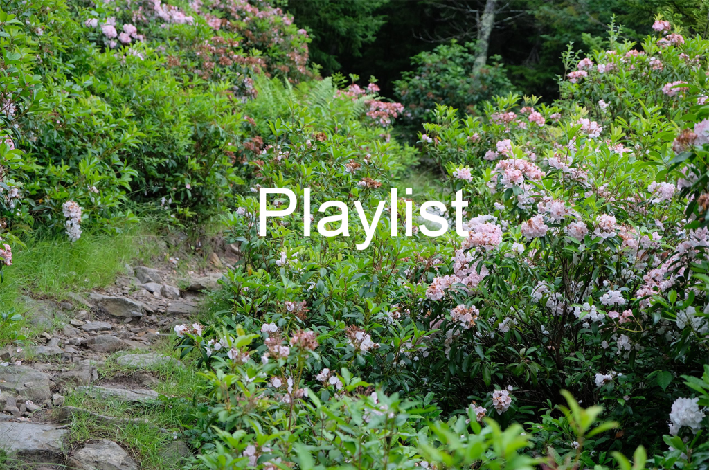 Playlist: Dolly Sods&nbsp;Wilderness