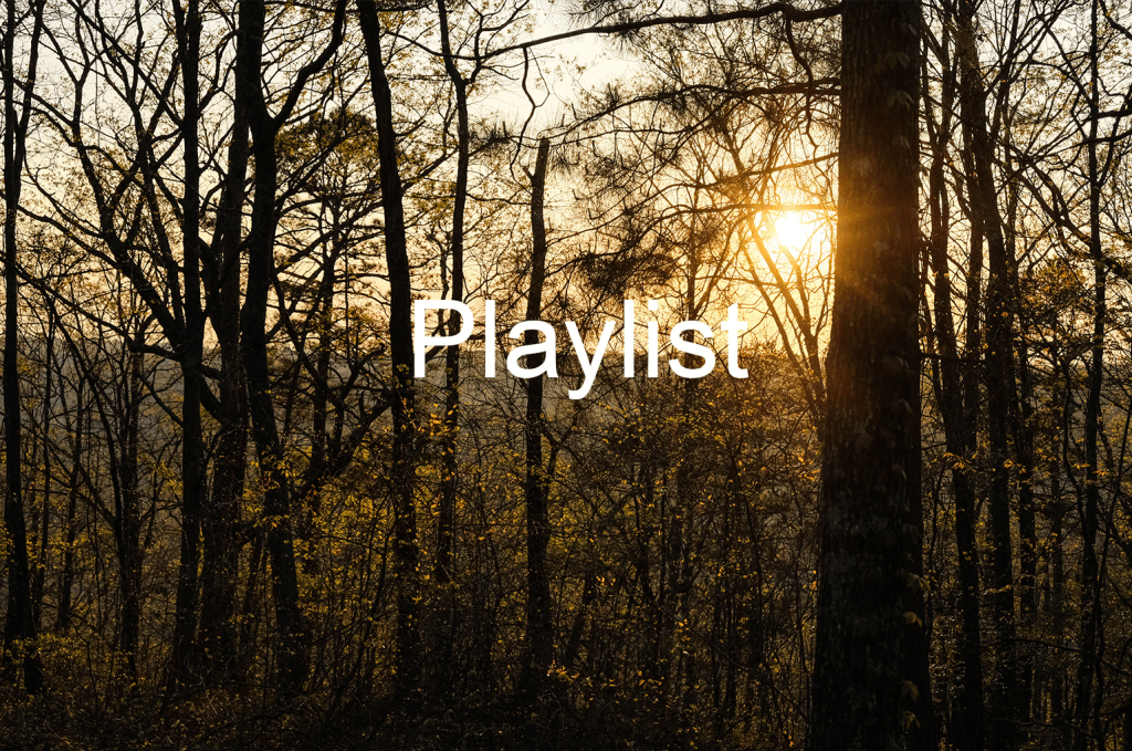 Playlist: Steele, Alabama (Driving &&nbsp;Camping)