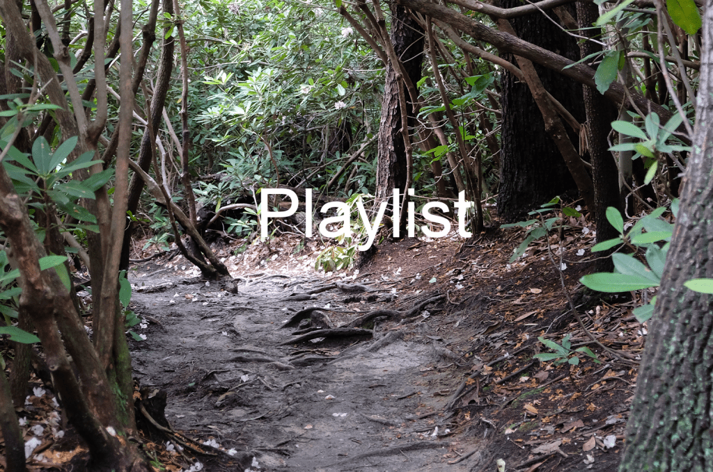 Playlist: Fayetteville, West Virginia (Driving & Lake&nbsp;Swimming)