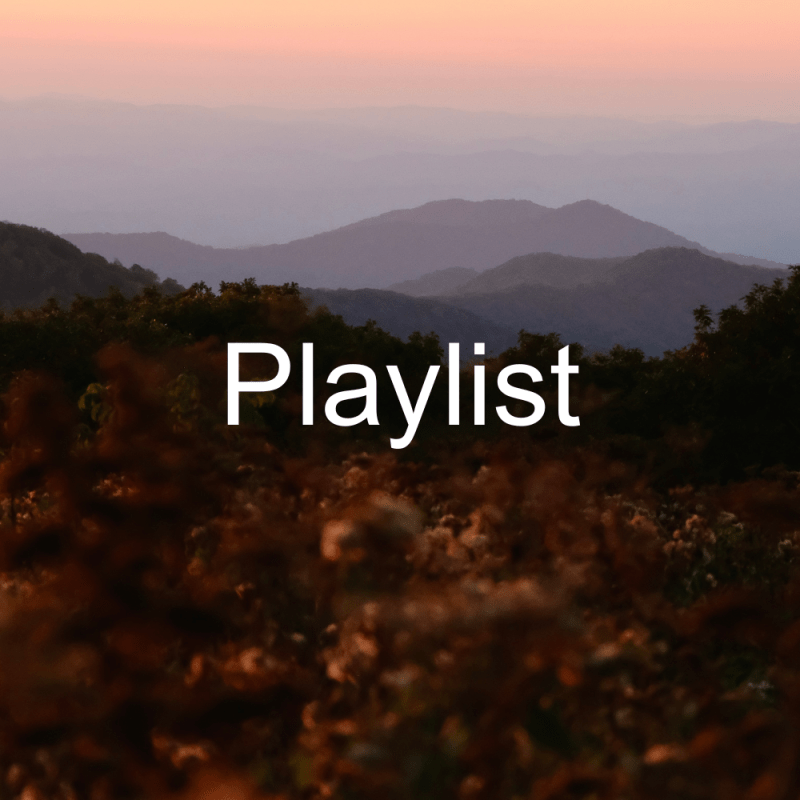 Playlist: Asheville, NC (A week long&nbsp;interlude)